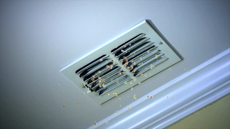 Best Affordable Air Duct Cleaning  in Squirrel Mountain Valley, CA
