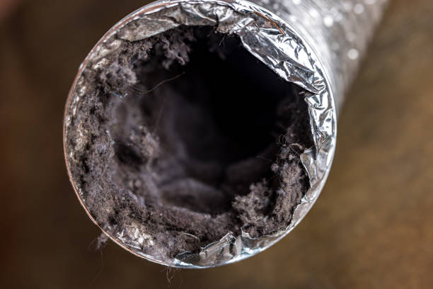 Best Air Duct Cleaning Company Near Me  in Squirrel Mountain Valley, CA